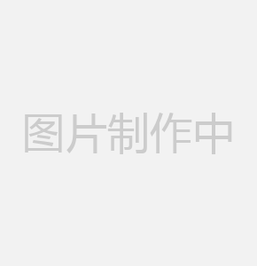 重庆这只猫火了，外国网友很担心